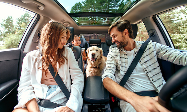 What Not to Do When Road Tripping with Pets | Bimmer Rescue in Richmond, VA